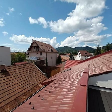Old Town Studio 1 Apartment Nr 1 Baia Mare Eksteriør billede
