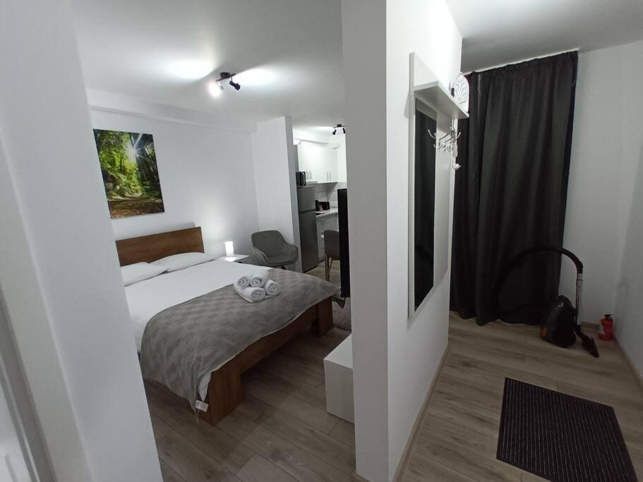 Old Town Studio 1 Apartment Nr 1 Baia Mare Eksteriør billede