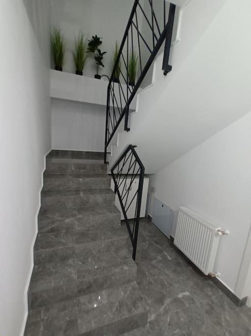 Old Town Studio 1 Apartment Nr 1 Baia Mare Eksteriør billede