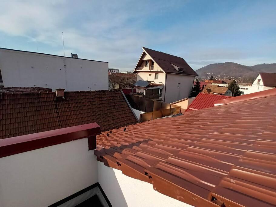 Old Town Studio 1 Apartment Nr 1 Baia Mare Eksteriør billede