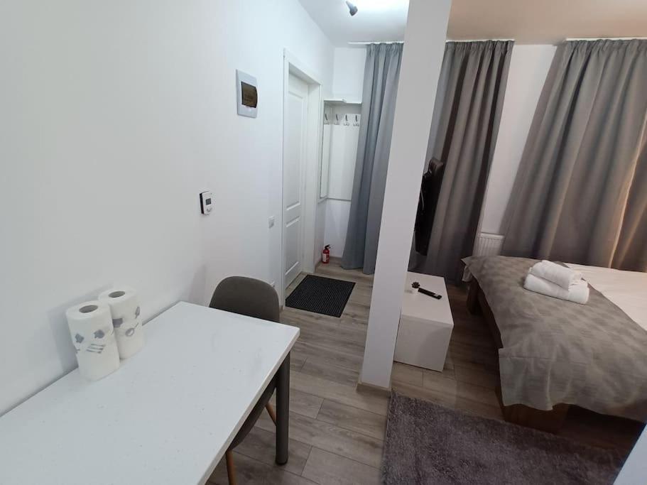 Old Town Studio 1 Apartment Nr 1 Baia Mare Eksteriør billede