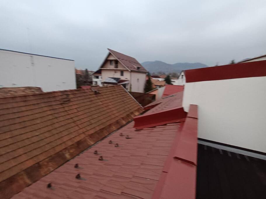 Old Town Studio 1 Apartment Nr 1 Baia Mare Eksteriør billede