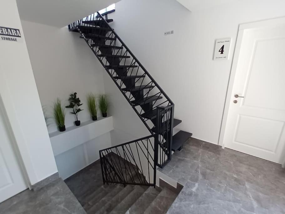 Old Town Studio 1 Apartment Nr 1 Baia Mare Eksteriør billede